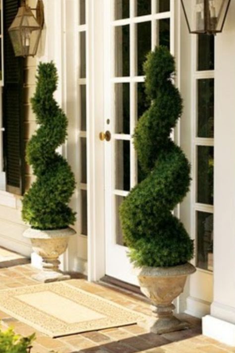 Swirl topiaries. What a beautiful "welcome home" Landscape Gardening, Topiary Garden, Exterior Front Doors, Topiary Trees, House With Porch, Front Porch Decorating, Topiaries, Landscape Lighting, Glass Doors