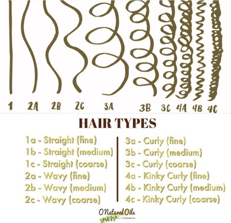 How To Describe Curly Hair Writing, Curl Type Chart, Hair Texture Chart, Gesture Practice, Hair Type Chart, Hair Journey Tips, Grow Thick Long Hair, Type 4c Hairstyles, Type Chart