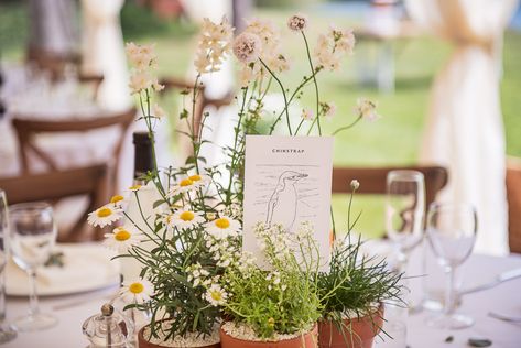 Wedding Plants Centerpieces, Potted Plant Centerpieces, Flower Pot Centerpiece, Botanical Wedding Theme, Plant Centerpieces, Wedding Woodland, Wedding Plants, Tipi Wedding, Whimsical Wonderland Weddings