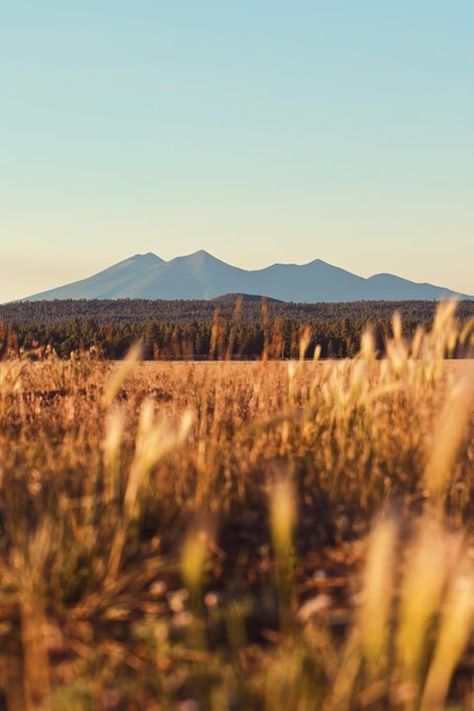 Golden Hour View of the San Francisco Peaks - Flagstaff AZ [OC][3648x5472] San Francisco Peaks Flagstaff, Golden Hour Mountains, Golden Hour Landscape, Golden Landscape, Natural Beauty Photography, Landscape Architecture Graphics, Summer Nature Photography, Landscape Design Drawings, Mountain Landscape Photography