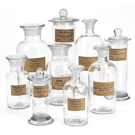 Botany Apothecary 9 Piece Decorative Jars Set Classy Halloween Party, Apothecary Bathroom, Apothecary Decor, Classy Halloween, Magia Das Ervas, Glass Apothecary Jars, Apothecary Bottles, Apothecary Jars, Bottles And Jars