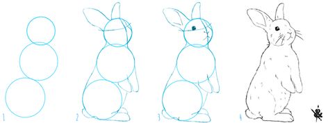 Un petit tuto pour apprendre à dessiner un lapin Peter Rabbit Illustration, Realistic Animal Drawings, Rabbit Drawing, Baby Animal Drawings, Animal Drawings Sketches, Rabbit Illustration, Bunny Drawing, Art Lessons For Kids, Art Painting Gallery