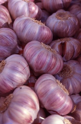 Garlic | da Fraser P Vegetable Pictures, Beautiful Fruits, Spices And Herbs, Fresh Fruits And Vegetables, Fruit And Veg, Fresh Vegetables, Beautiful Food, Fruits And Veggies, Fruit Trees