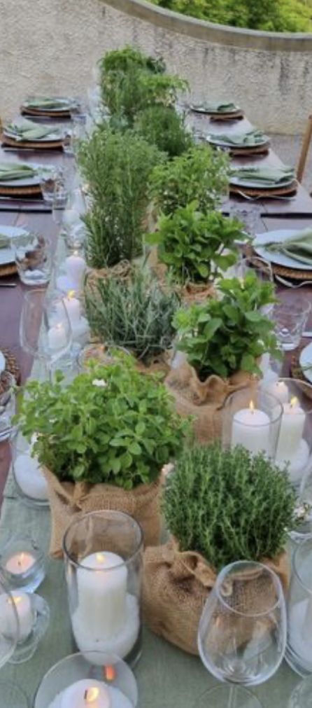 Herb Themed Party, Italian Theme Party Decorations Centerpiece Ideas, Italian Dinner Table Decor, Italian Tablescape Ideas, Italian Themed Centerpieces, Italian Dinner Decor, Italian Wedding Table Decor, Tuscan Dinner Party, Tuscan Tablescape