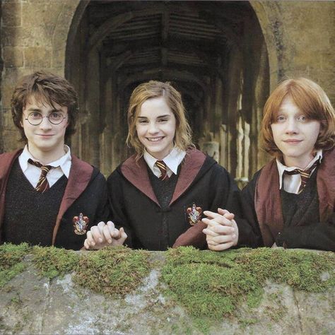 Harry,Hermonie,Ron Goblet of Fire Hermione, Harry Potter, Stone, Wall