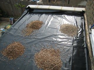 Build a Living Roof / Green Roof : 8 Steps (with Pictures) - Instructables Green Roof Project, Sod Roof, Living Green Roof, Roof Plants, Green Roof Garden, Green Roof House, Sedum Roof, Sloped Roof, Grass Roof