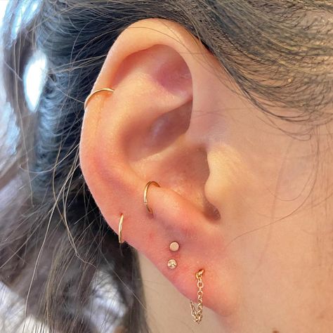 Next Piercing, Anti Helix Piercing, Unique Piercings, Unique Piercing, Anti Tragus Piercing, Piercing Inspiration, Anti Tragus, The World Is Your Oyster, Tragus Hoop