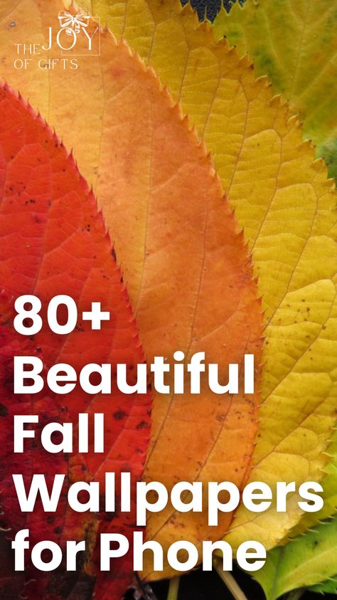 Want to decorate your phone with a gorgeous Autumn wallpaper? Choose from over 80 free Fall phone wallpapers from The Joy of Gifts! You'll see falling leaves wallpapers, phone backgrounds with quotes about the Autumn season, and plenty of colorful Fall backgrounds for your phone! Fall Pumpkin Iphone Wallpaper, Autumn Wallpapers For Phone, Autumn Screensaver Wallpapers, Autumn Beauty Wallpaper, Free Fall Wallpaper Iphone, Fall Images Wallpaper, Fall Leaves Wallpaper Iphone, Fall Screensavers For Iphone, Fall Foliage Wallpaper