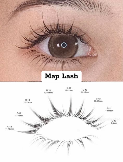 Fairy Lash Extensions Map, Lash Animation, Manhua Lash Map, Asian Lashes Extensions, Eyelash Extensions For Asian Eyes, Map Eyelash Extensions, Eyelash Extensions Mapping Styles, Eyelash Lift And Tint, Lash Map