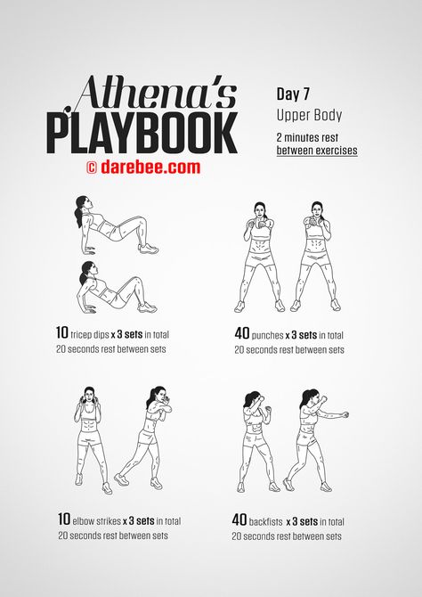 Darbee Workout, Upper Ab Workout, Core Workout Videos, Best Abdominal Exercises, Workout Nutrition, Warrior Workout, Nutrition Motivation, Low Carb Diets, Printable Workouts