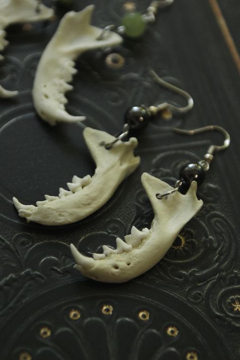 Real bone and hematite stone earrings: Real hand-drilled weasel jaw bones paired with beautiful hematite beads, mounted on hook clasps. A unique pair of earrings, very original which will appeal to fans of natural history or cabinets of curiosities and taxidermy. These jewels are made of organic material, so each model differs and may vary slightly in terms of shape and size from the photo. Goblin Jewelry, Real Bone Jewelry, Animal Bone Jewelry, Viking Earrings, Oddities Jewelry, Bone Accessories, Taxidermy Jewelry, Natural Earrings, Earrings Real