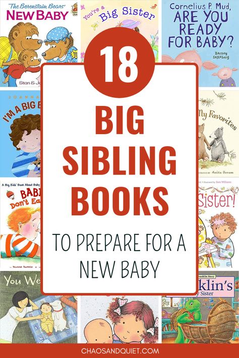 Big Brother Activities, Big Sister Book Announcement, Big Brother Basket Ideas, Big Brother Book, Becoming A Big Brother, Best Toddler Books, Big Sister Little Brother, New Big Sister, Lottie Dottie