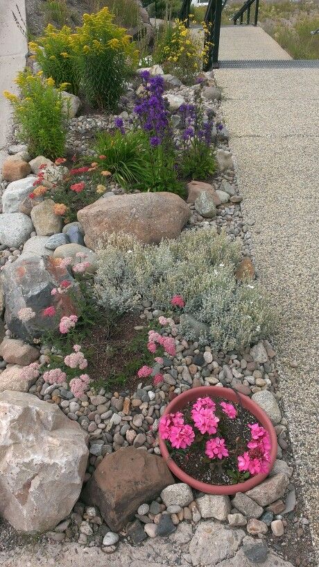 Front Yard Landscaping Ideas With Rocks Drought Tolerant, Landscape Design For Sloped Front Yard, Colorado Garden Ideas, Outdoor Rock Garden Ideas, Xeriscape Front Yard Colorado, Garden Rock Wall, Colorado Landscaping, Sidewalk Landscaping, Rockery Garden