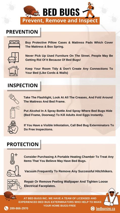 Prevent
Eliminate 
Inspect Bed Bugs Bed Bug Remedies, Get Rid Of Bed Bugs, Bug Spray Recipe, Kill Bed Bugs, Rid Of Bed Bugs, Pillow Case Mattress, Reflux Diet, Hidden Bed, Bug Control