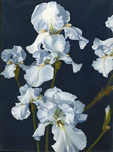 White Iris Midnight ** Click image to review more details. (This is an affiliate link) Iris Painting, White Iris, Blue Art Prints, Identity Art, China Art, Blue Painting, Iris Flowers, Photorealism, Original Art For Sale