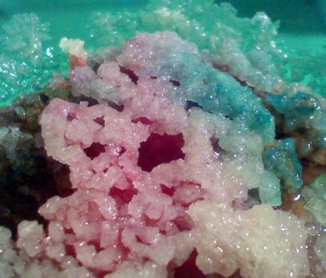 Salt and vinegar crystals are easy-to-grow non-toxic crystals that you can grow in a rainbow of colors. This crystal growing project is especially good for kids or beginners looking for quick and easy crystals. Grow Crystals, Crystal Growing, Borax Crystals, Growing Crystals, Salt And Vinegar, Kid Experiments, Fair Projects, Science Project, Science Fair Projects