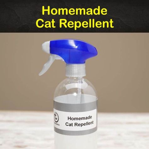 Diy Cat Repellent Spray Outdoor, Diy Furniture Spray, Cat Repellant Outdoor, Diy Cat Furniture, Cat Deterrent Spray, Repellent Diy, Pallet Deck Diy, Cat Repellent, Cat Deterrent