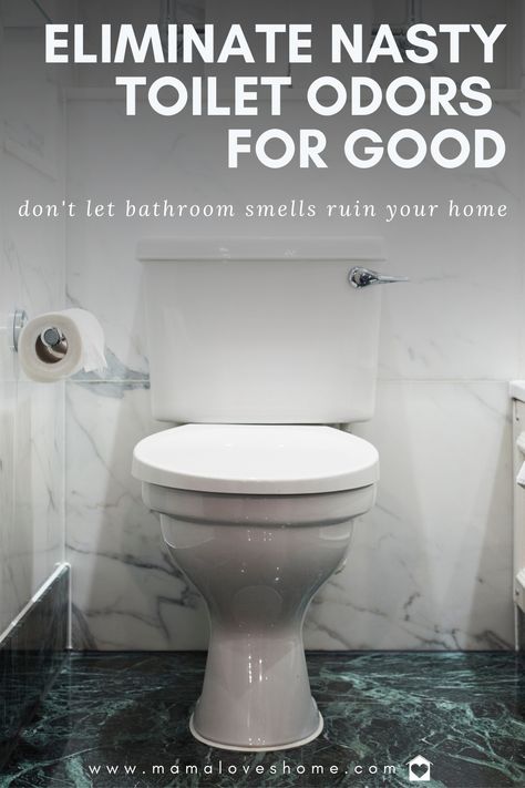 Smelly Bathroom, Toilet Odor, Pee Smell, Diy Steps, Bathroom Odor, Urine Smells, Easy Hacks, Organized Home, Bathroom Smells