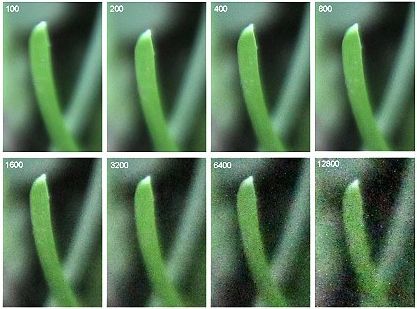 HOW ISO WILL AFFECT THE IMAGE:  A higher ISO value will make every pixel absorb more light, which will ultimately introduce noise in the form of 'graininess' in the image. Triangle Photography, Iso Photography, Exposure Triangle, Camera Basics, Aperture Photography, Iso Settings, Aperture And Shutter Speed, Film Camera Photography, Photography Composition