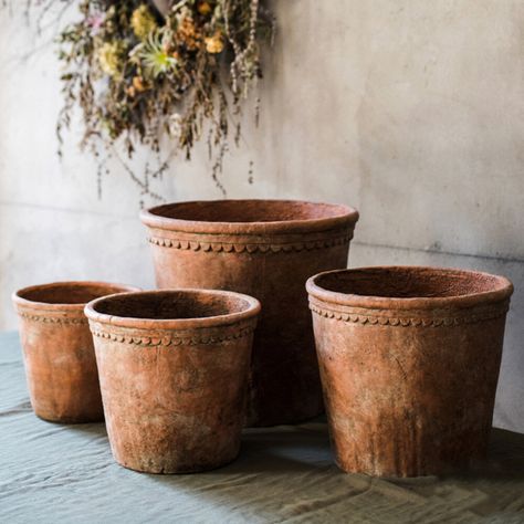 Shop Wayfair for A Zillion Things Home across all styles and budgets. 5,000 brands of furniture, lighting, cookware, and more. Free Shipping on most items. Large Outdoor Planters, Concrete Planter, Concrete Color, Terracotta Planter, Large Planters, Concrete Planters, From Santa, Outdoor Planters, Terracotta Pots