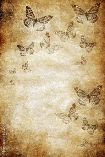 Vintage Paper Background Texture, History Background, Vintage Paper Textures, Parchment Background, Old Paper Background, Vintage Paper Background, Butterfly Background, Romantic Background, Paper Butterfly