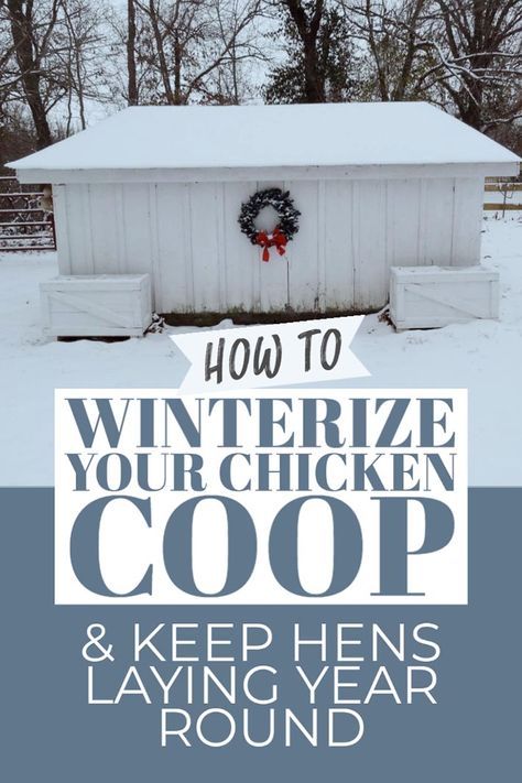 Winter Chicken Coop, Chicken Coop Winter, Coop Signs, Chicken Coop Blueprints, Coop Run, Chicken Roost, Farming Ideas, Chickens In The Winter, Raising Quail