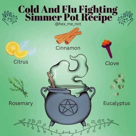 Midsummer Solstice, Cauldron Witch, Simmer Pot Recipes, Kitchen Witch Recipes, Potpourri Recipes, Simmer Pot, Mulling Spices, Green Witchcraft, Wiccan Magic