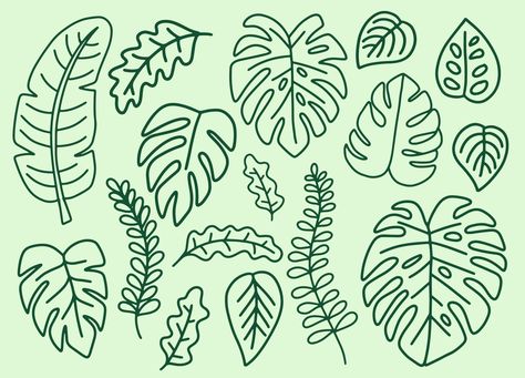 Tropical Plant Line Art, Cricut Monstera Leaf, Small Monstera Leaf Tattoo, Simple Monstera Drawing, Green Leaf Art, Monstera Leaf Drawing Simple, Monstera Outline Tattoo, Monstera Leaf Tattoo Design, Monstera Leaf Design