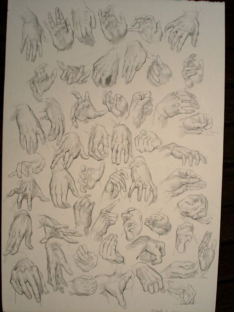 hands ✤ || CHARACTER DESIGN REFERENCES | Find more at https://www.facebook.com/CharacterDesignReferences if you're looking for: #line #art #character #design #model #sheet #illustration #expressions #best #concept #animation #drawing #archive #library #reference #anatomy #traditional #draw #development #artist #pose #settei #gestures #how #to #tutorial #conceptart #modelsheet #cartoon #hand Hand Gripping Reference, Hand Gripping, Illustration Expressions, Character Anatomy, Archive Library, Library Reference, Animation Drawing, Anatomy For Artists, Model Sheet