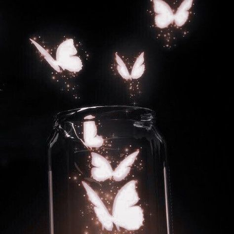 White Butterflies, In The Dark, Butterflies, White