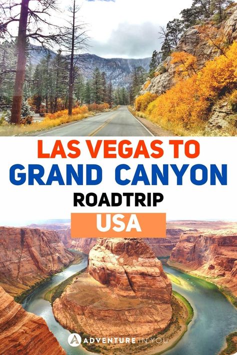 Road Trip From Las Vegas, Grand Canyon Road Trip, Vegas Trip Planning, Grand Canyon West Rim, Las Vegas Itinerary, Grand Canyon Vacation, Desert Wildflowers, Grand Canyon Tours, Los Vegas