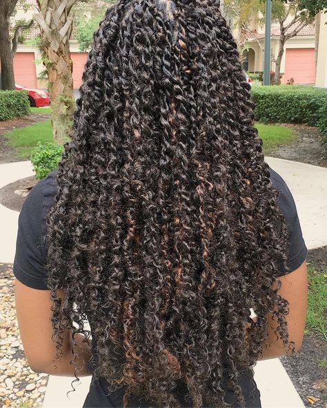 Standard size Passion Twists 💕. Colors #4 & 30 😍. (SWIPE) #thebohobabe #thegoddesslocsgirl #miamihair #miamigoddesslocs #miamibriads… Black Hair Hairstyles, Black Hair Tips, High Porosity Hair, Passion Twists, Twisted Hair, Hair Porosity, Twist Braid Hairstyles, Natural Hair Tips, African Braids Hairstyles