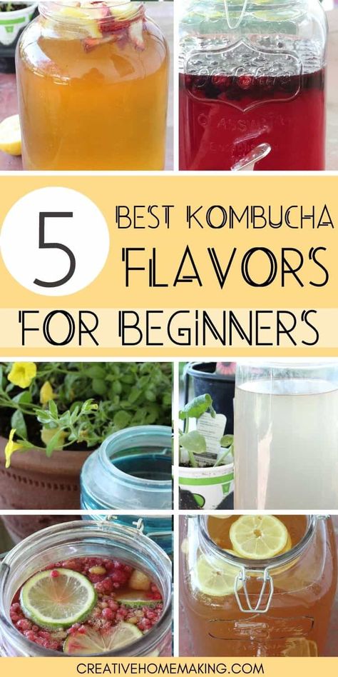 If you're just getting started with making homemade kombucha, these are the best kombucha flavors to try! Kombucha Recipes, Best Kombucha, Kombucha Flavors, Kombucha Recipe, Homemade Kombucha, Kombucha Tea, Fermentation Recipes, Fermented Drink, Probiotic Foods