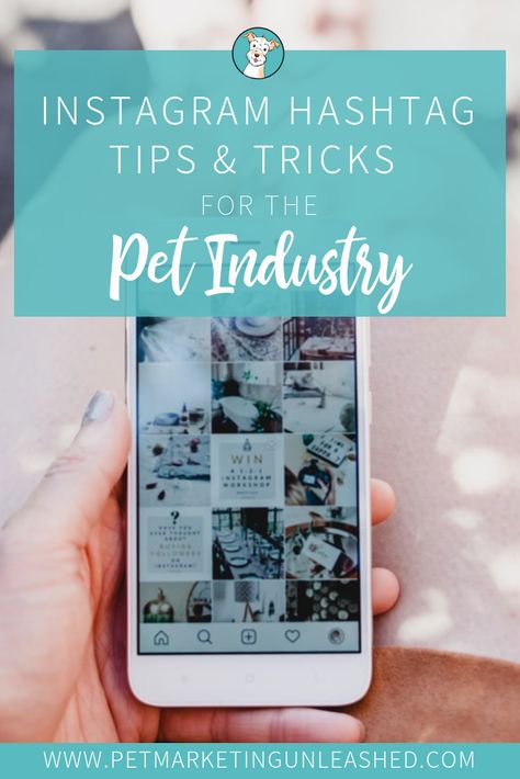 Instagram Hashtag Tips & Tricks For The Pet Industry | Pet Marketing Unleashed Pet Instagram Ideas, Dog Instagram Ideas, Pet Marketing, Business Hashtags, Pet Instagram, Dog Marketing, Pet Sitting Business, Dog Instagram, Get Instagram Followers