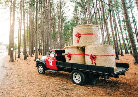 Christmas Tree Farm Ideas, Christmas Hayride, Farm Festival, Christmas On The Farm, Aussie Summer, Farm Christmas, Barn Parties, Farm Store, The Barnyard