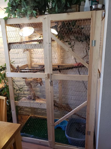 Iguana Cage Diy, Diy Iguana Enclosure, Iguana Enclosure, Iguana Care, Iguana Cage, Diy Reptile, Reptile Accessories, Chinese Water Dragon, Reptile House