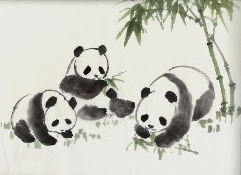 Drawings Of Animals, Chinese Panda, Panda Painting, Chinese Drawings, Panda Drawing, Sumi E Painting, Chinese Art Painting, Japanese Drawings, Bamboo Lamp