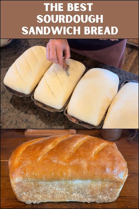 Soft Sourdough Sandwich Bread - Easy Recipe - Wagon Wheel Homestead Long Fermented Sourdough Bread, French Sourdough Bread, One Day Sourdough Bread, Sourdough Discard French Bread, Sandwiches Sourdough, Fluffy Sourdough Bread, Ferment Recipes, Sourdough French Bread, Soft Sourdough Sandwich Bread