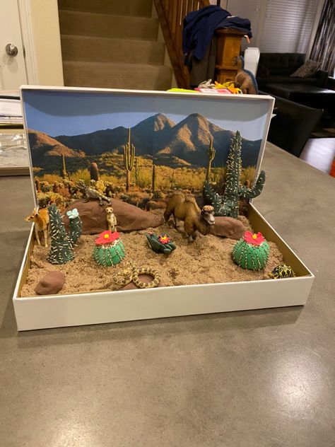 School Project Animal Habitat, Desert Biome Diorama, Shoe Box Biome School Projects, Biome Box Project, Desert Habitat Diorama, Animals Habitat Project, Desert Diorama Ideas, Animal Habitats Project, Biome Activities For Kids