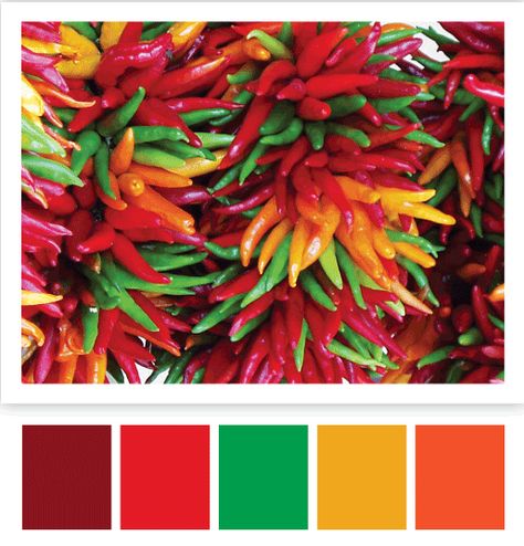 South Asian Color Palette, Mexican Fiesta Color Palette, Latin Color Palette, Mexican Color Scheme, Mexican Color Palette, Food Colors Palette, Mexican Flag Colors, Painted Fence, Hippie House