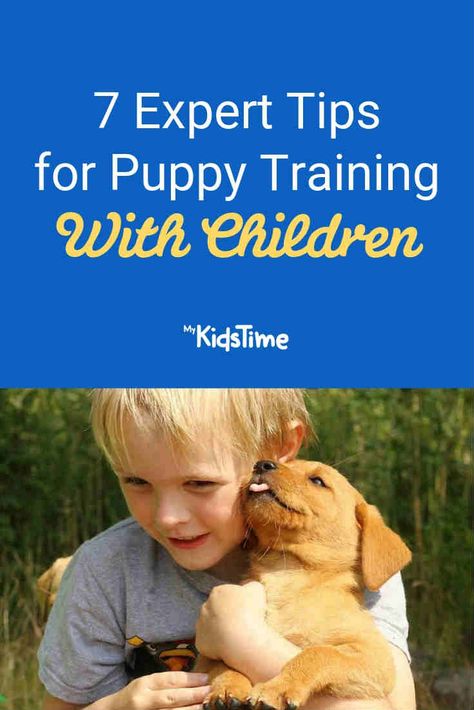 Pets For Kids, Top 10 Dog Breeds, Getting A Kitten, Puppies Tips, Reactive Dog, House Training Dogs, Puppy Training Tips, Dog Brain, Kids Training