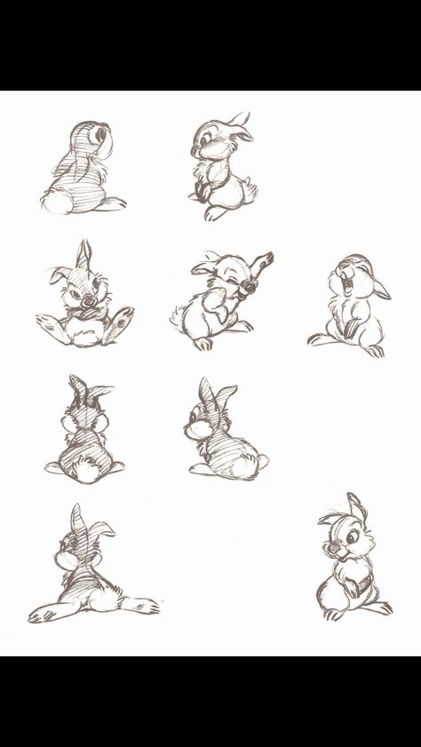 Thumper sketch Croquis Disney, Disney Sleeve, Concept Sketches, Rabbit Tattoos, 디즈니 캐릭터, Disney Tattoo, Disney Concept Art, Disney Sketches, Concept Art Drawing