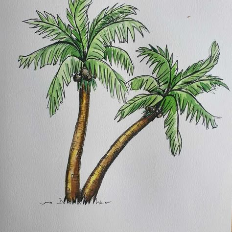 Palm Tree With Coconuts Drawing, Realistic Palm Tree Drawing, Palm Trees Drawing Easy, Painting A Palm Tree, Easy To Draw Palm Trees, Palm Tree Drawing Aesthetic, Palm Tree Leaf Drawing, Plam Tree Drawing Easy, Drawings Of Palm Trees