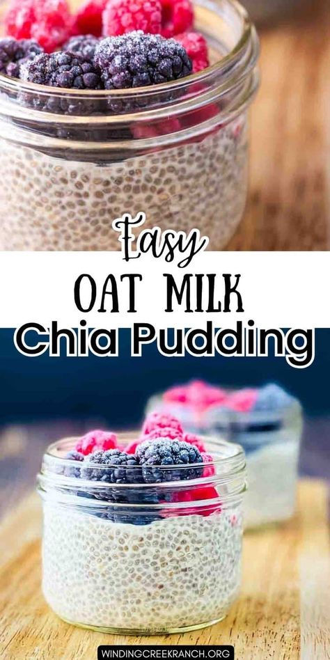 Easy Oat Milk Chia Seed Pudding Oatmilk Chia Seed Pudding, Chia Pudding Oat Milk, Chia Seed Pudding With Oatmilk, Chia Pudding With Oat Milk, Oat Milk Chia Pudding, Chia Seed Pudding Oat Milk, Chia Seed Oatmeal Pudding, Oatmeal Pudding Recipe, Chia Pudding Coconut Milk