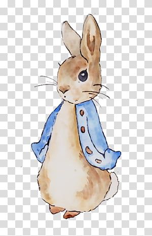 Rabbit Drawing Easy, Peter Rabbit Pictures, Silver Fox Rabbit, Bugs Bunny Drawing, Peter Rabbit Characters, Easter Drawing, Peter Rabbit Flopsy, Rabbit Watercolor, Rabbit Theme