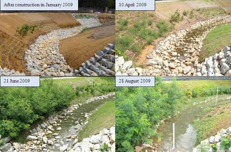 Restoring an urban river bed to its natural Eco-system; A Singapore experiment | Sand Prints Riparian Landscape Design, Permaculture Layout, River Restoration, Knit Plush, Soil And Water Conservation, Retention Pond, Stormwater Management, Eco System, Ecology Design