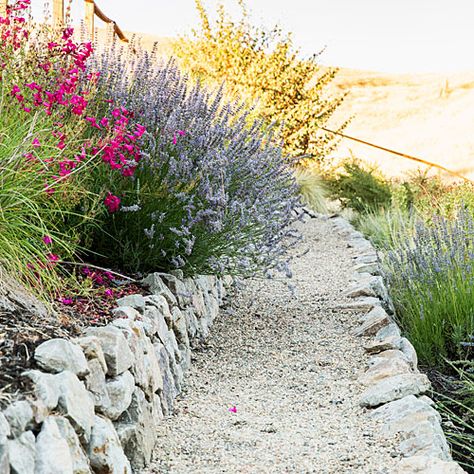 Path - A Hillside Garden's Ingenious Design - Sunset Backyard Landscaping On A Hill, Steep Hillside Landscaping, Cerca Natural, Steep Gardens, Landscaping A Slope, Water Wise Plants, Landscaping On A Hill, Water Feature Wall, Hillside Garden