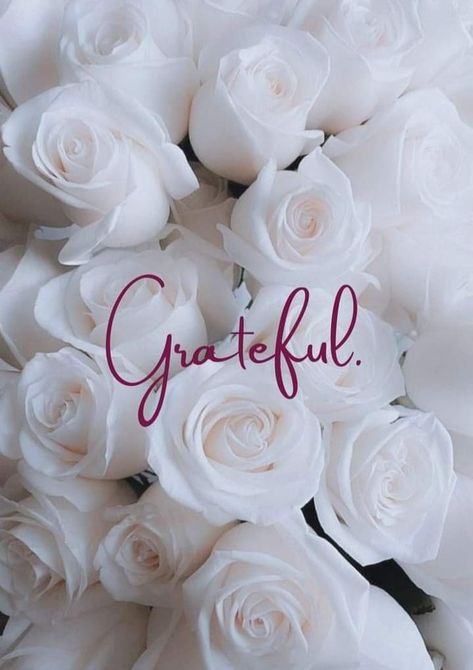 Gratefully Blessed Quotes, Always Be Grateful Quotes, Be Grateful Wallpaper, Be Grateful Quotes, Ribbons Tattoo, Grateful Quotes Gratitude, Afrikaanse Woorde, Always Grateful, Grateful Quotes