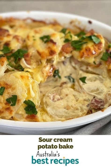 Take your potato bake game to the next level with our mouth-watering sour cream potato bake. Potato Bake With Sour Cream, Sour Cream And Potato Recipes, Sour Cream Potato Bake, Potato And Sour Cream Recipes, Potato Sour Cream Recipes, Recipes Using Sour Cream, Creamy Potato Bake, Cheesy Potato Bake, Sour Cream Potatoes