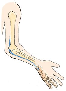 Cubital Tunnel Syndrome, Nerve Conduction Study, Massage Ideas, Body Facts, Ulnar Nerve, Nerve Health, Spinal Nerve, Pinched Nerve, Spinal Injury